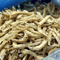 Ikan Bilis